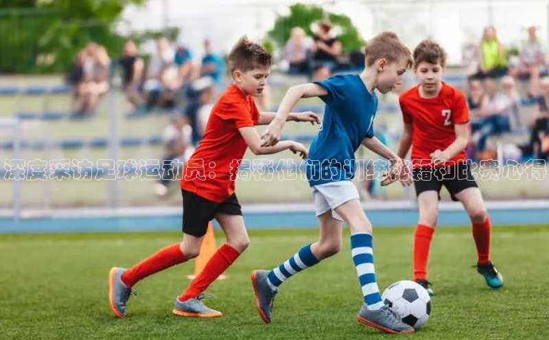 谈球吧体育官网最新在线入口百度翻译App深度采访足球运动员：揭秘他们的训练秘籍和比赛心得