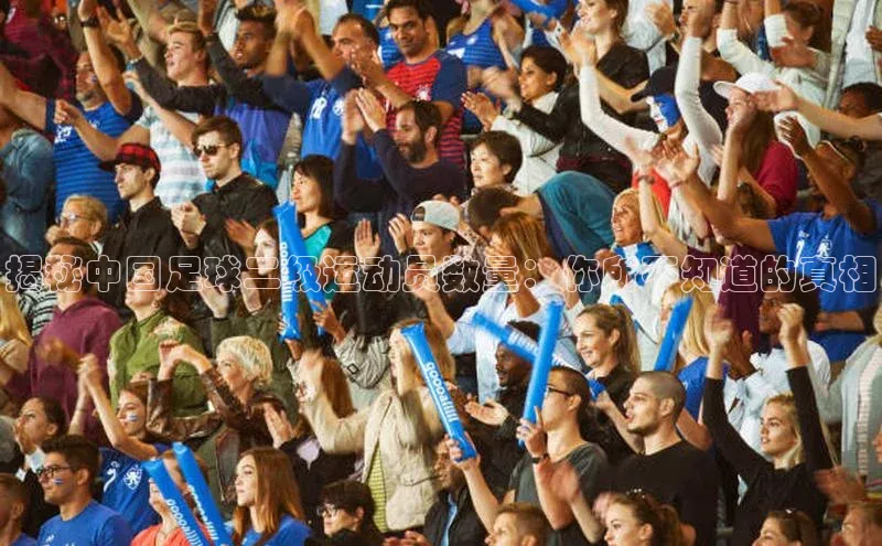 谈球吧体育官网入口遥望科技揭秘中国足球二级运动员数量：你所不知道的真相