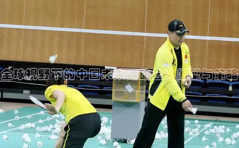 全球视野下的中国未来运动会：展望与策略