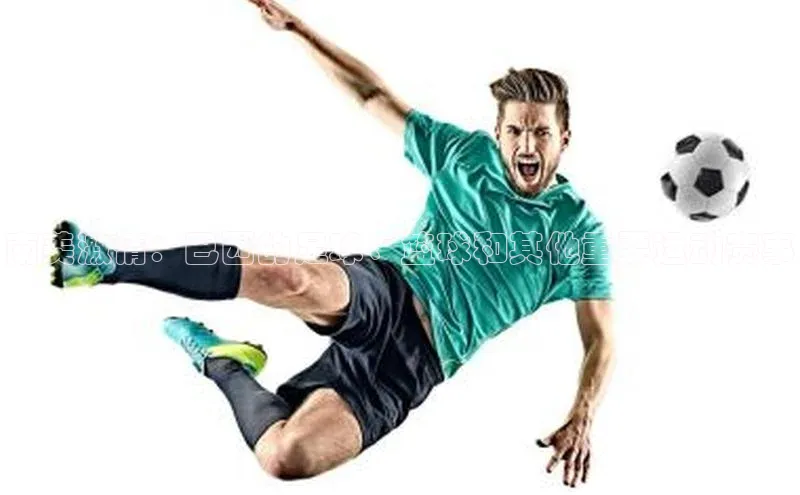 南美激情：巴西的足球、篮球和其他重要运动赛事