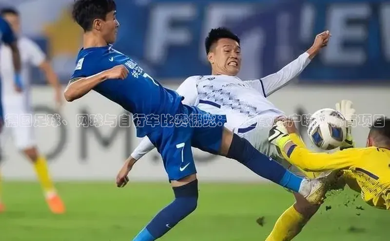 德国足球、网球与自行车比赛概览：德国家喻户晓的体育项目