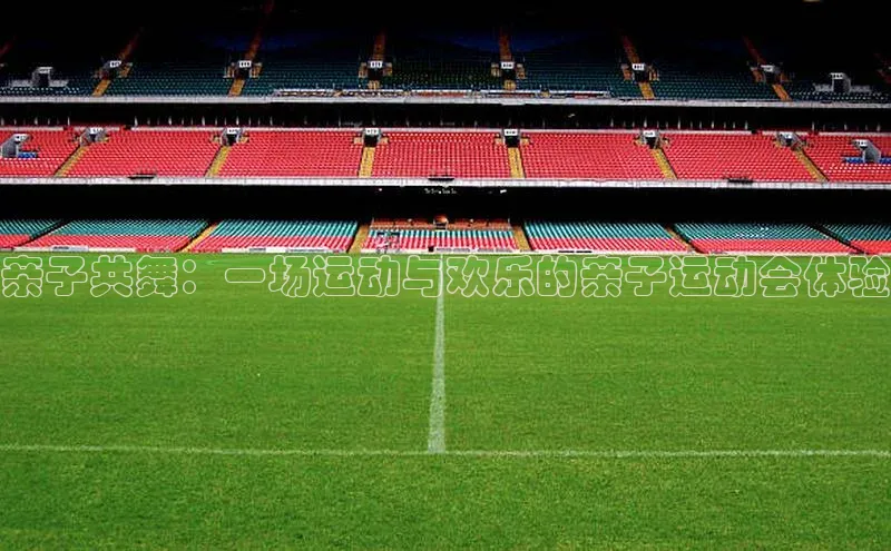 亲子共舞：一场运动与欢乐的亲子运动会体验