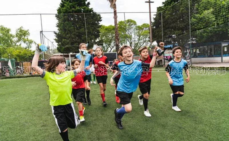 澳大利亚：一场激情与活力的盛宴——顶级运动赛事