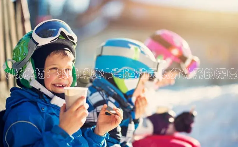 飞跃赛场：羽毛球赛事与运动员积分体系的深度