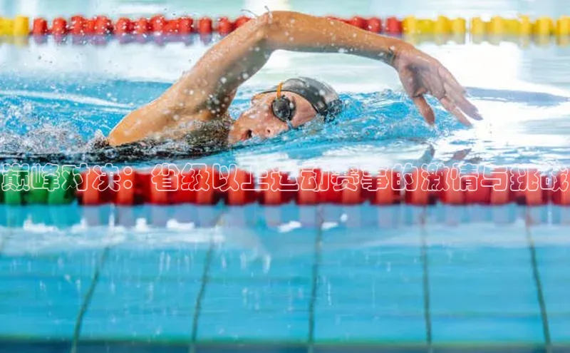 巅峰对决：省级以上运动赛事的激情与挑战