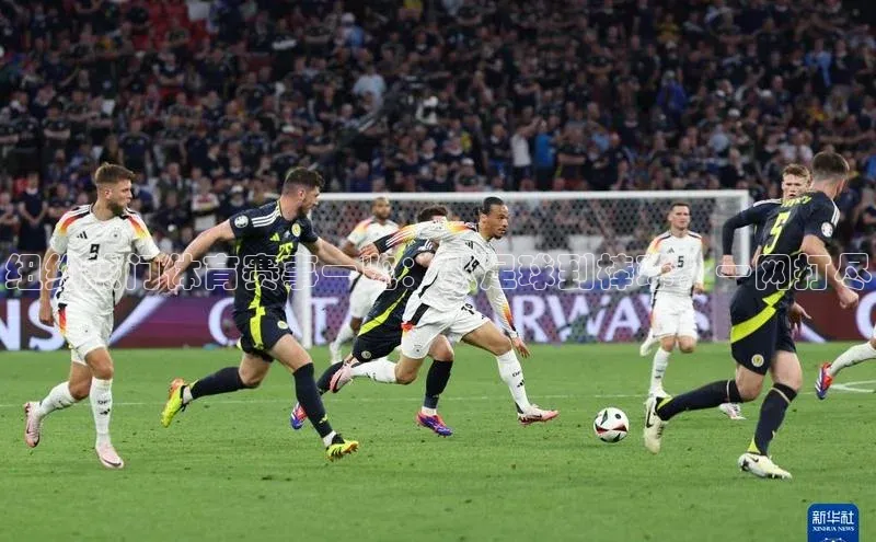 纽约热门体育赛事一览：从足球到棒球，一网打尽