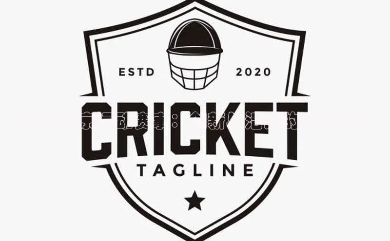 2024南京运动赛事：创新与活力的完美融合