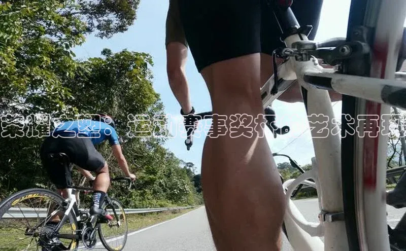 荣耀之塑：运动赛事奖杯的艺术再现