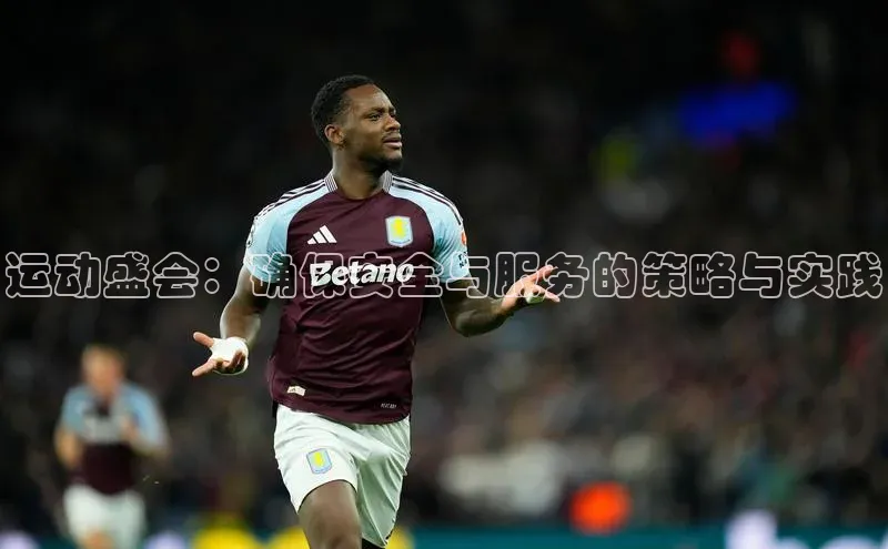 运动盛会：确保安全与服务的策略与实践