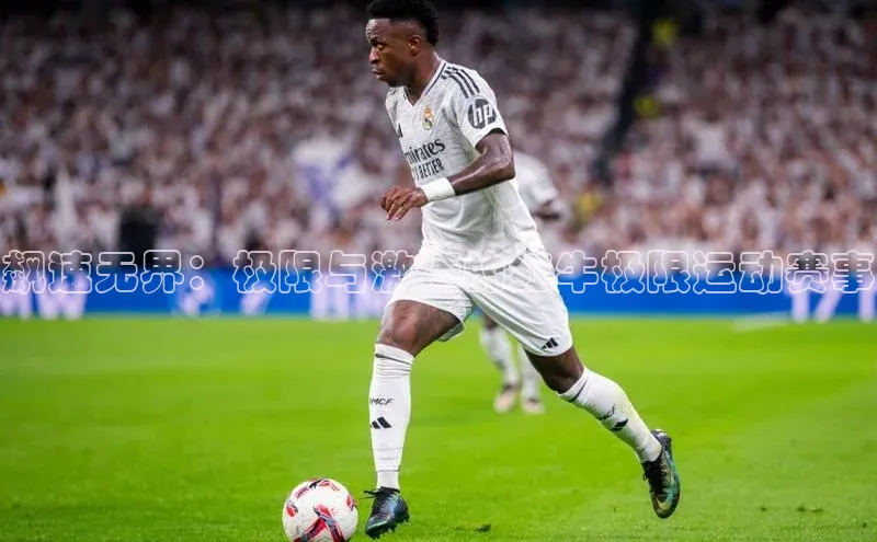 飙速无界：极限与激情的红牛极限运动赛事