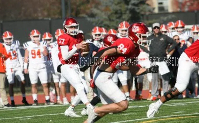 ：全球最具竞争力的职业体育联赛薪酬排行榜