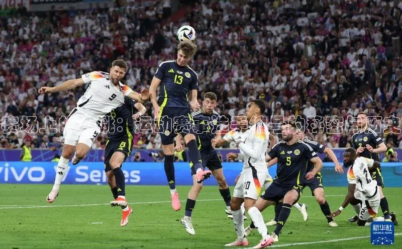 赛场上的心跳：运动赛事选手编号的秘密与历史