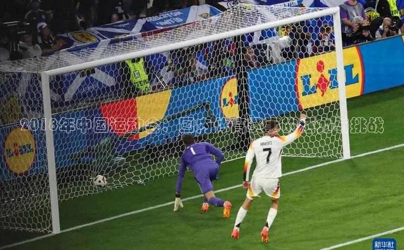 2018年中国运动会：国内体育赛事的活力与挑战