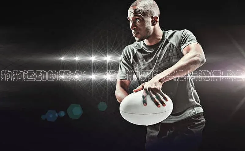 狗狗运动的狂欢：一场宠物界的速度与激情盛宴